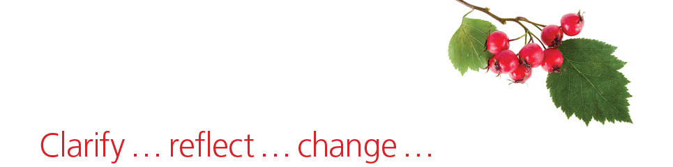 Engage understand aspire