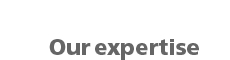 Link to the Our expertise page